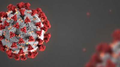 3D illustration of the novel coronavirus; image courtesy of CDC.gov